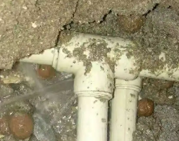 玛纳斯测漏水多少钱