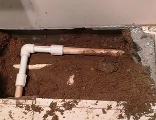 玛纳斯测漏水哪家好