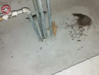 玛纳斯卫生间测漏水价格明细