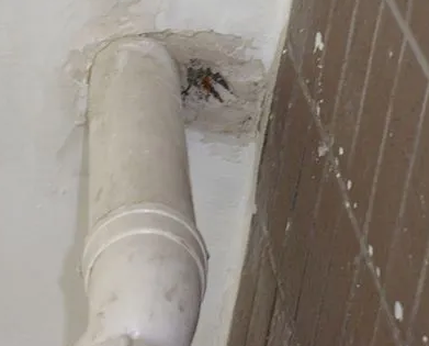 玛纳斯漏水检测哪家好